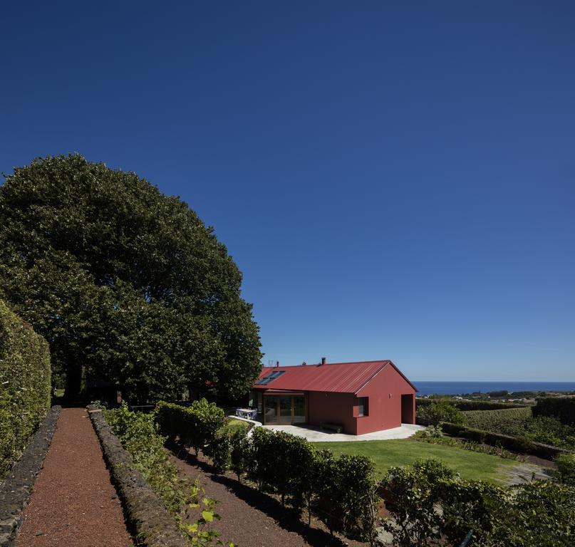 Quinta Da Tilia Boutique Retreat Konuk evi Capelas Dış mekan fotoğraf