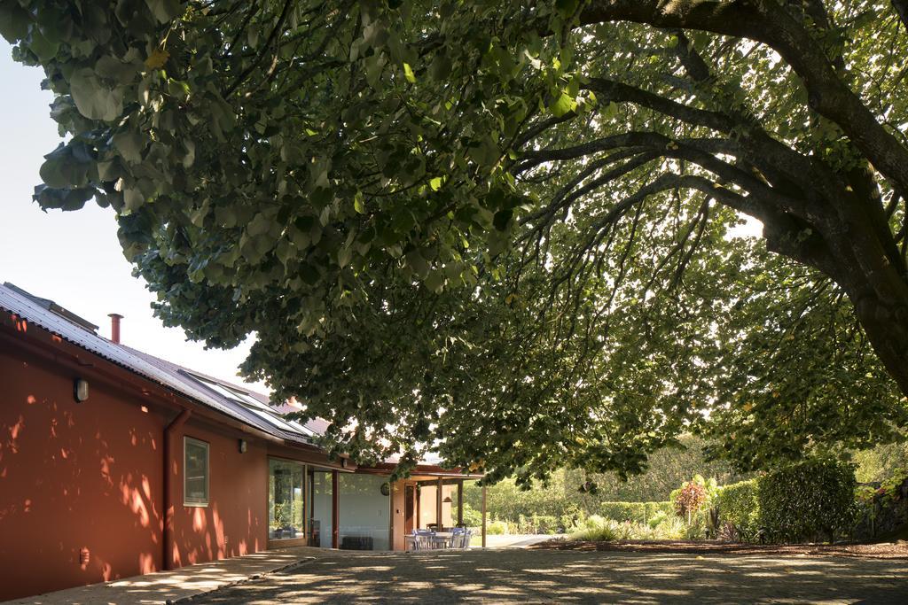 Quinta Da Tilia Boutique Retreat Konuk evi Capelas Dış mekan fotoğraf